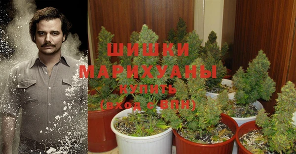 спайс Новодвинск