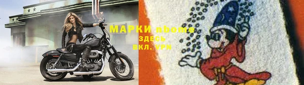 ПСИЛОЦИБИНОВЫЕ ГРИБЫ Аркадак