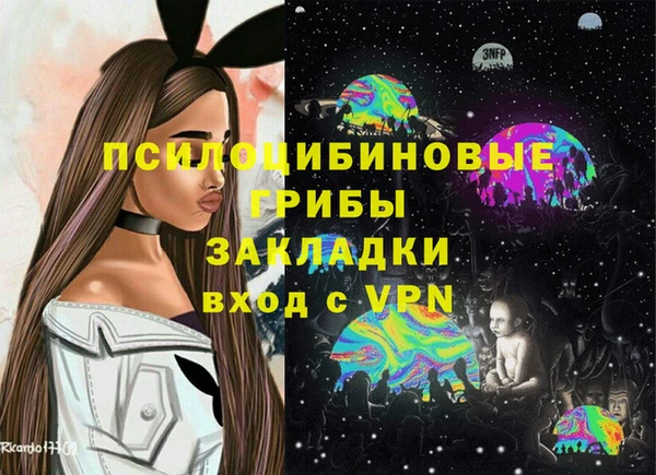 ПСИЛОЦИБИНОВЫЕ ГРИБЫ Аркадак