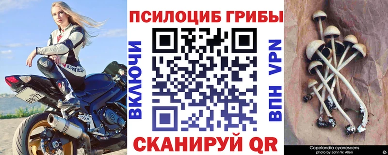 KRAKEN ссылка  продажа наркотиков  Сольвычегодск  Галлюциногенные грибы Magic Shrooms 