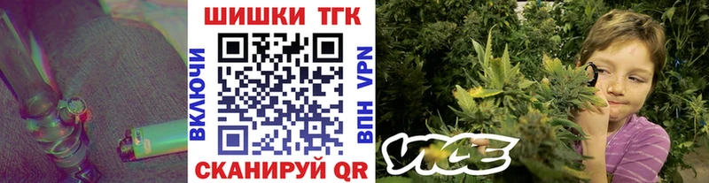 Бошки марихуана Bruce Banner  Сольвычегодск 